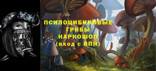 бошки Кинешма