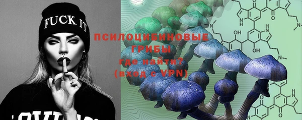 ГАЛЛЮЦИНОГЕННЫЕ ГРИБЫ Киреевск