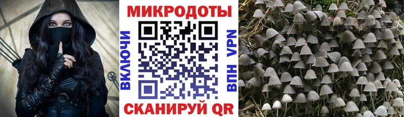 Галлюциногенные грибы Magic Shrooms Купить где Вытегра